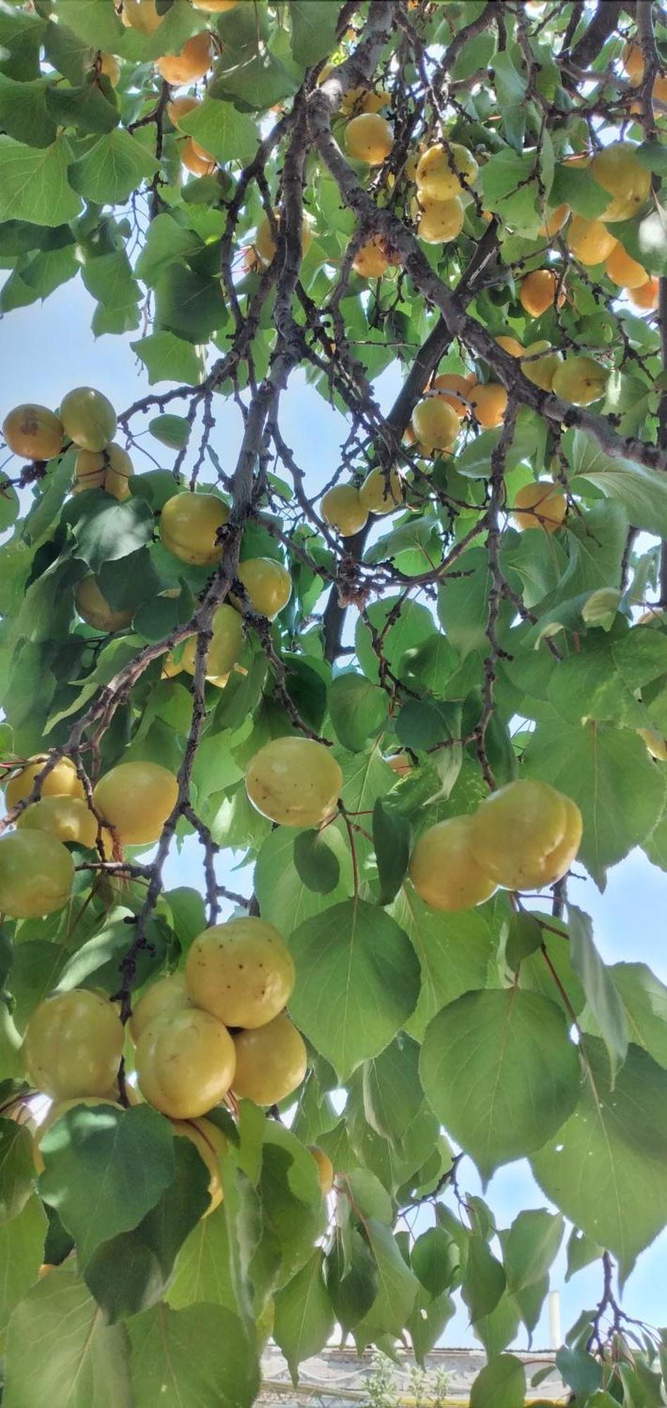 فندق Yukon بوستيري المظهر الخارجي الصورة